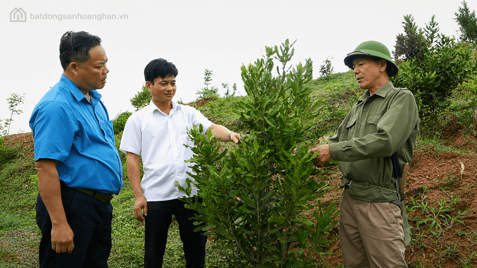 Mô hình nông nghiệp mắc ca tại Tây Nguyên mở ra cơ hội phát triển bất động sản nông nghiệp và nghỉ dưỡng sinh thái